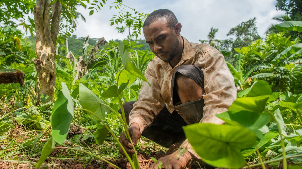 Pourquoi nous choisir - illustration