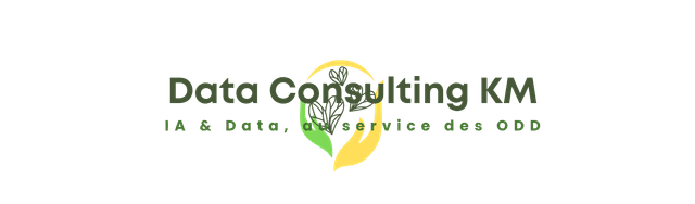 Data Consulting KM
